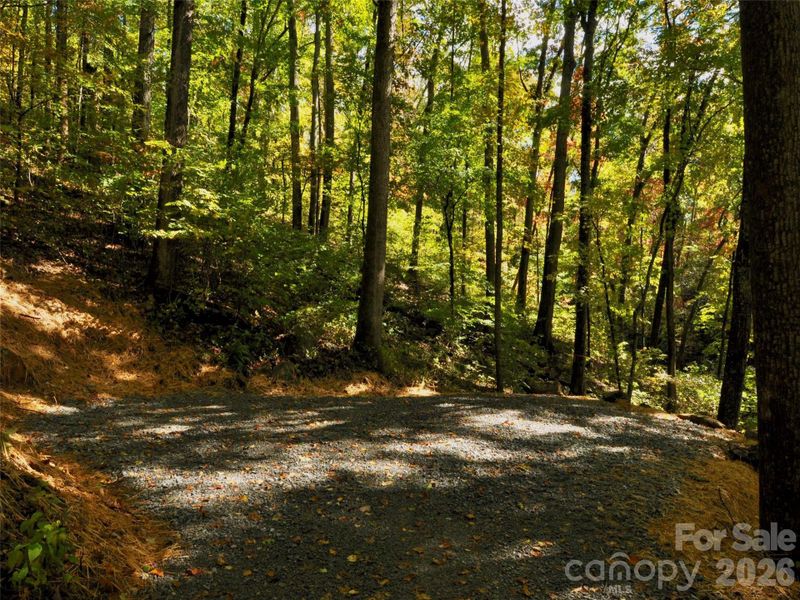 Natural landscape and outdoor views near in Arden (Image 17). Natural landscape and outdoor views near in Arden (Image 17).