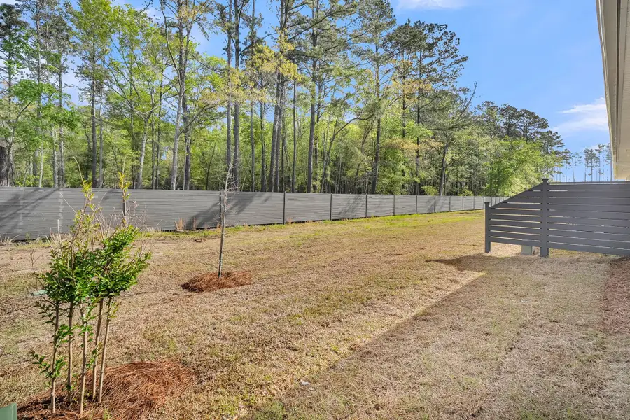 Exterior details and patio area of a home in Hammock Walk at Nexton, Summerville (Image 4).