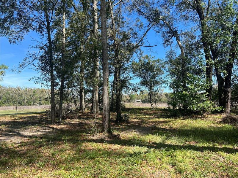 Natural landscape and outdoor views near  in Branford (Image 22).