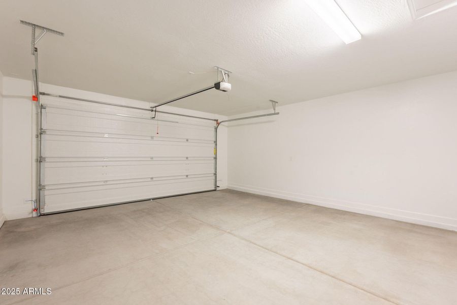 32-web-or-mls-Bittercress-32 32-web-or-mls-Bittercress-32