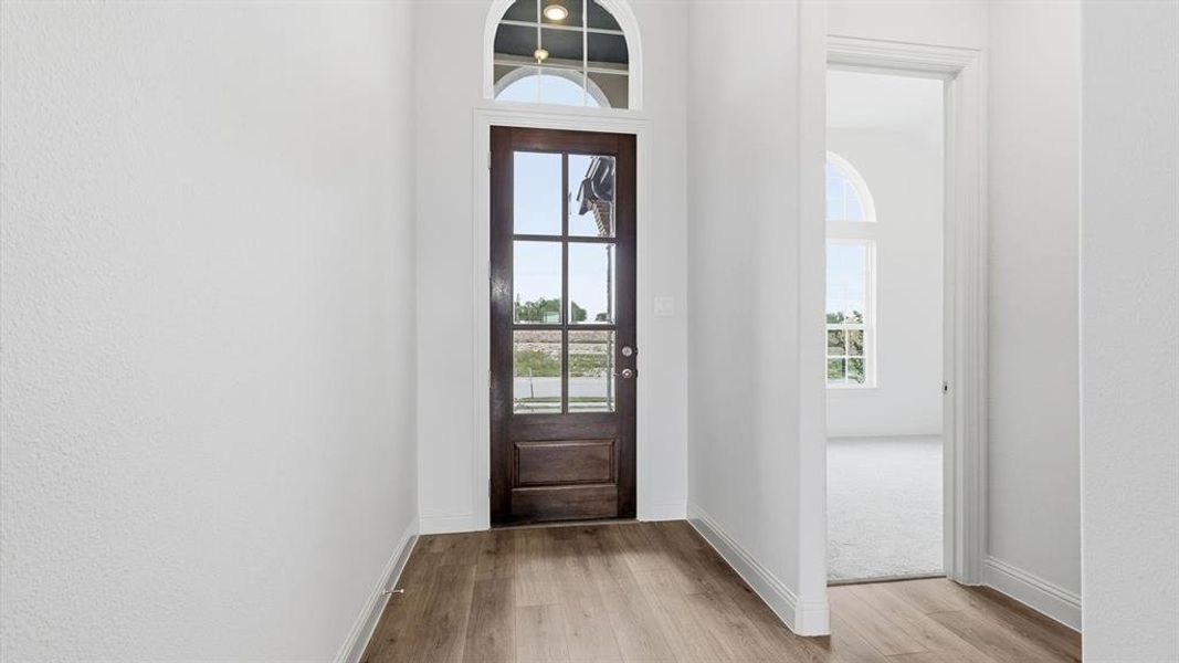 Entryway featuring a dark wood-finish door with glass panels, an arched transom window, and light wood-finish flooring