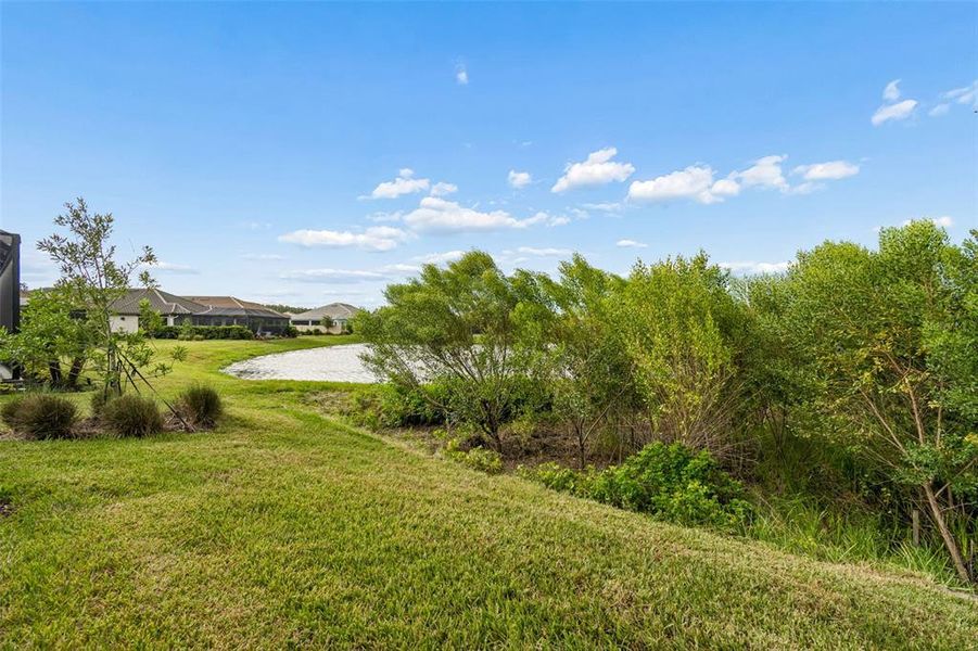 Natural landscape and outdoor views near in Wesley Chapel (Image 89). Natural landscape and outdoor views near in Wesley Chapel (Image 89).