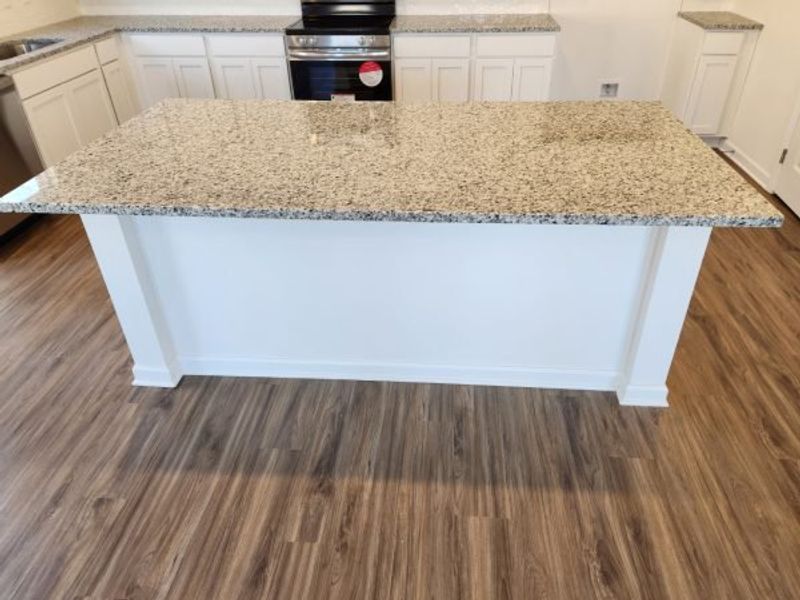 Representative interior finishes for a home built from the Boxwood Townhome by Piedmont Residential in The Retreat at Browns Ridge, Newnan (Image 24).
