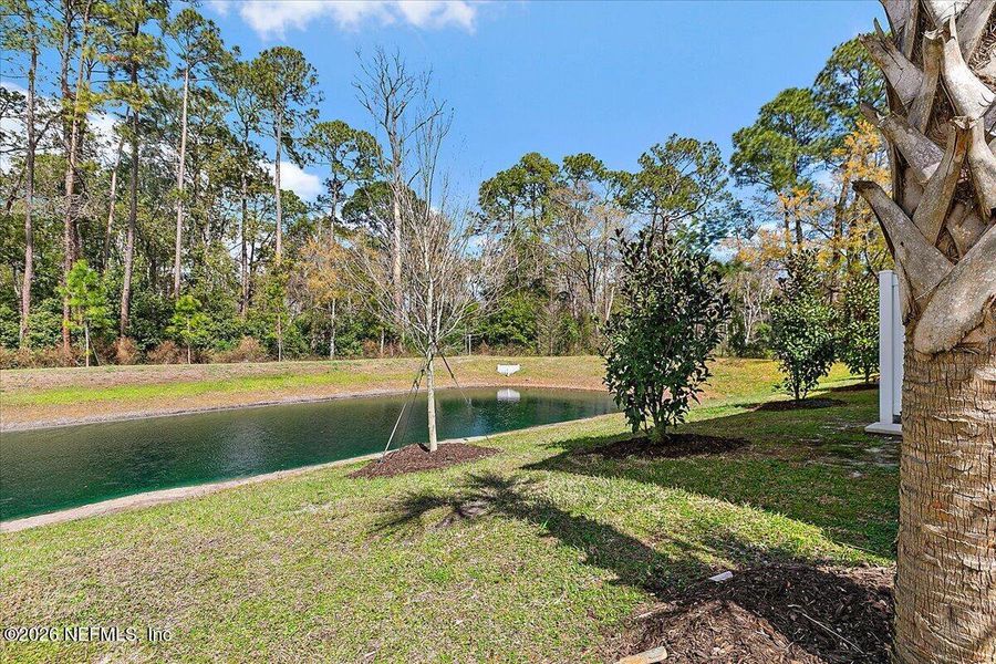 Natural landscape and outdoor views near  in Jacksonville (Image 23).
