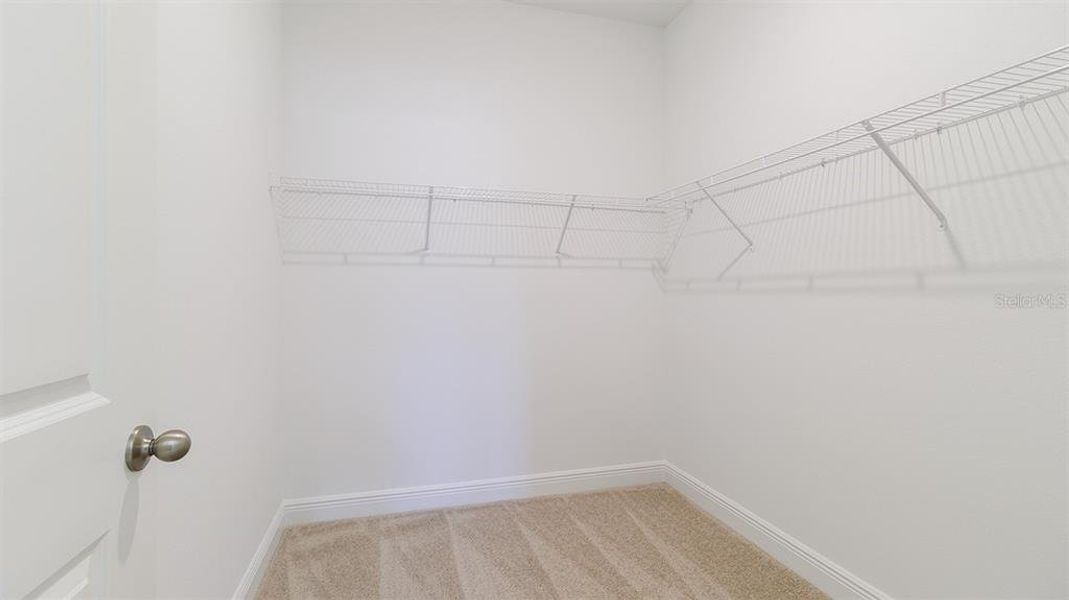 Spacious, unfurnished interior of a new home in , Minneola (Image 16).