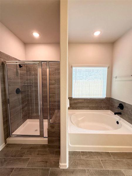 Furnished interior view inside a new home in , Iowa Colony (Image 10).
