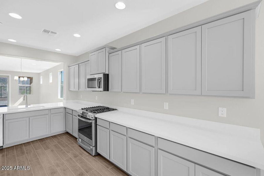 hj-az-phoenix-mystic-discovery-lily-lot-