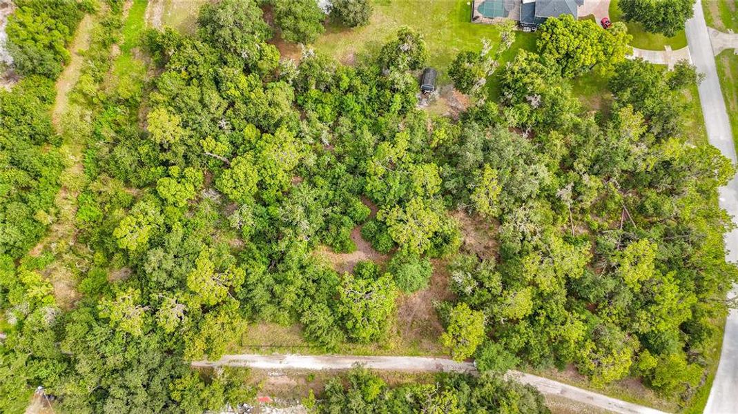 Natural landscape and outdoor views near  in Lithia (Image 36).