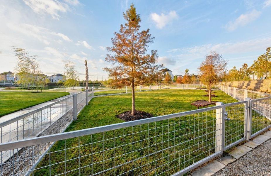 two spacious dog parks