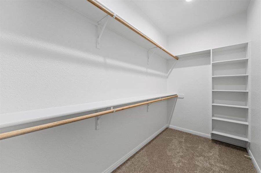 Spacious closet with carpet flooring
