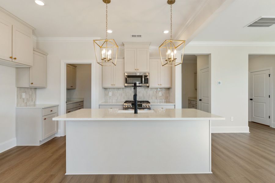 Furnished interior view inside a new home in Lakeside Saluda, Greenville (Image 8). Furnished interior view inside a new home in Lakeside Saluda, Greenville (Image 8).