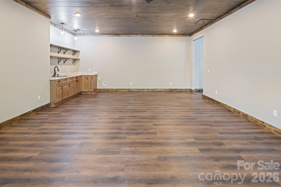 Lower Level - Den with Wet Bar