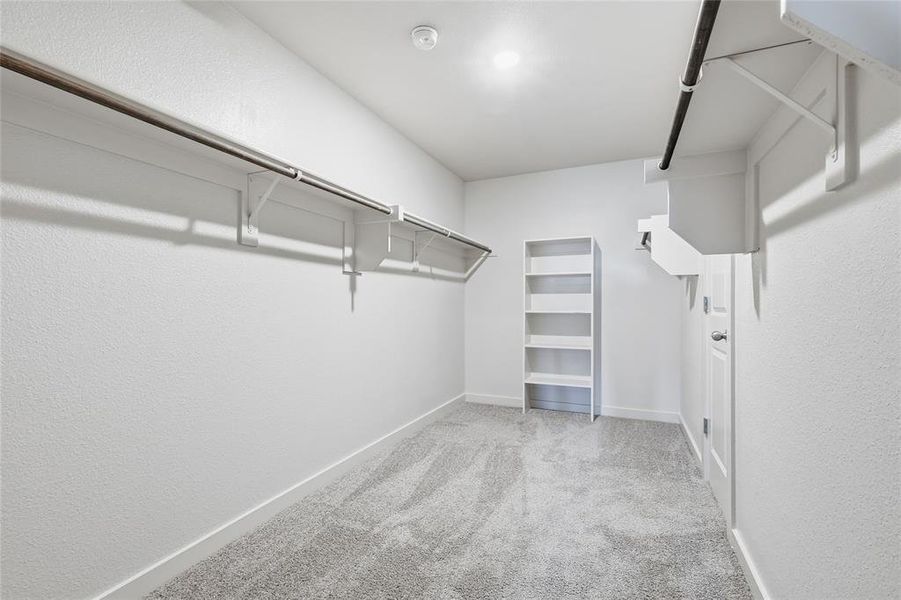Walk in closet featuring light carpet