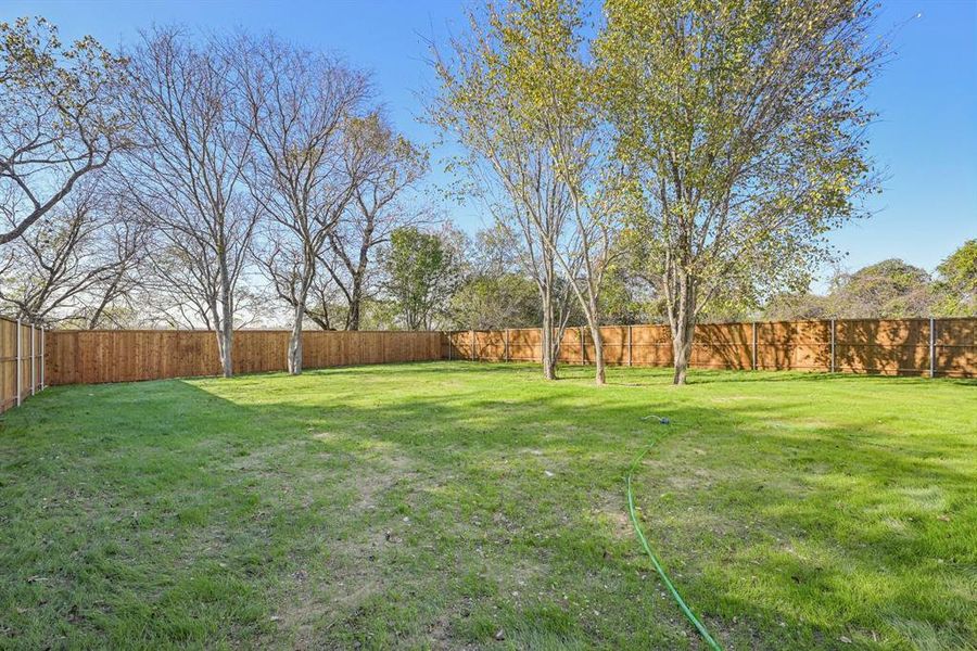 View of fenced backyard