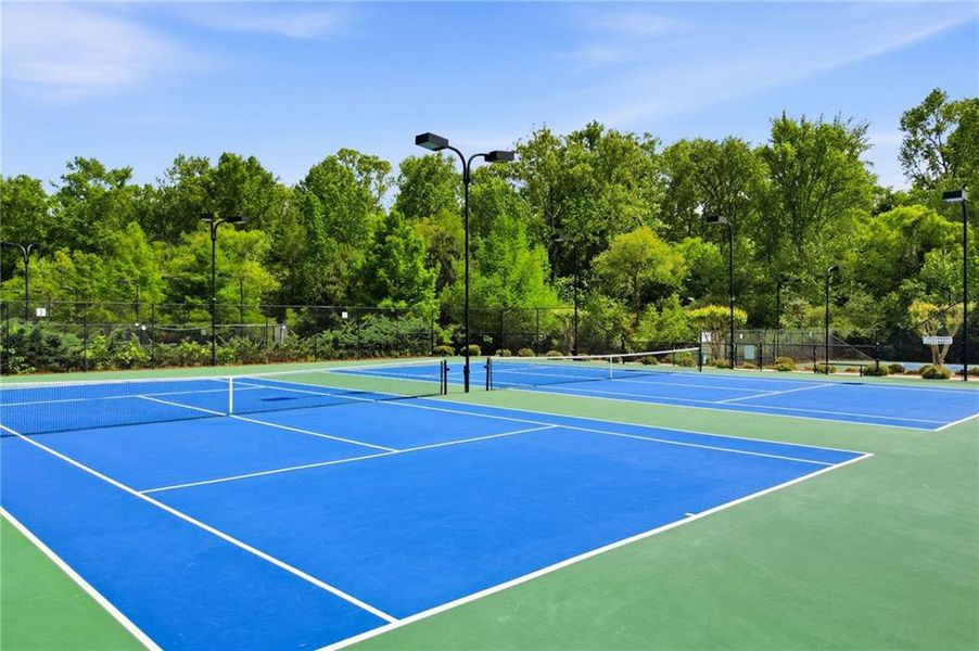 Community amenities in Vistas at Towne Mill, Canton (Image 58).