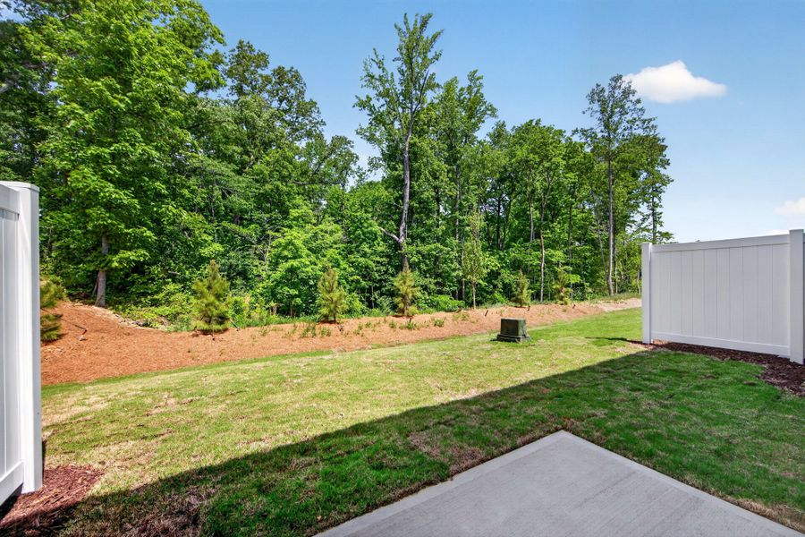 Exterior details and patio area of a home in Southbridge, Fort Mill (Image 18).