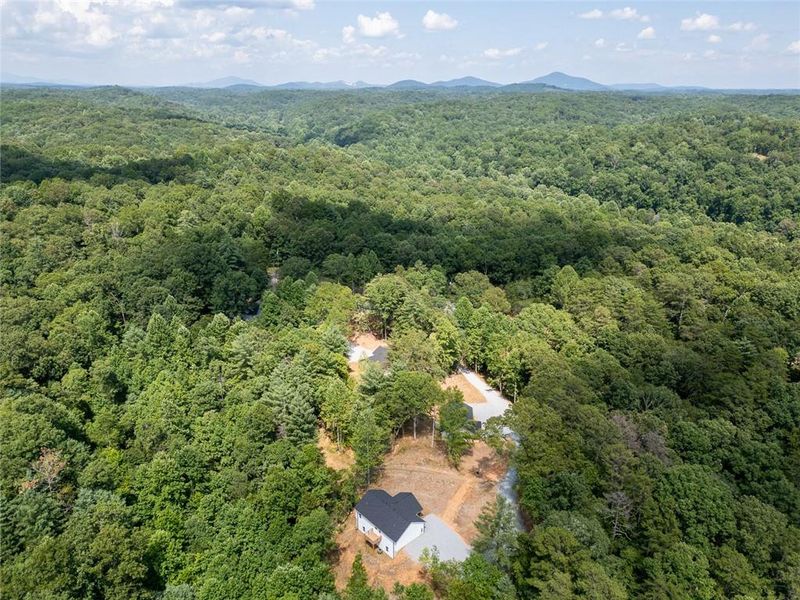 Natural landscape and outdoor views near  in Dahlonega (Image 47).