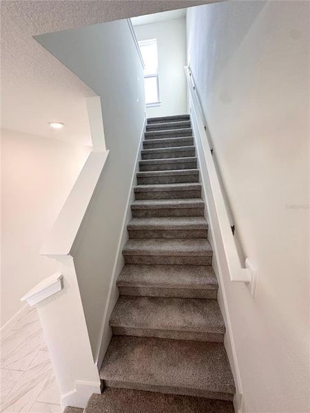 Spacious, unfurnished interior of a new home in Grasslands West, Lakeland (Image 29).