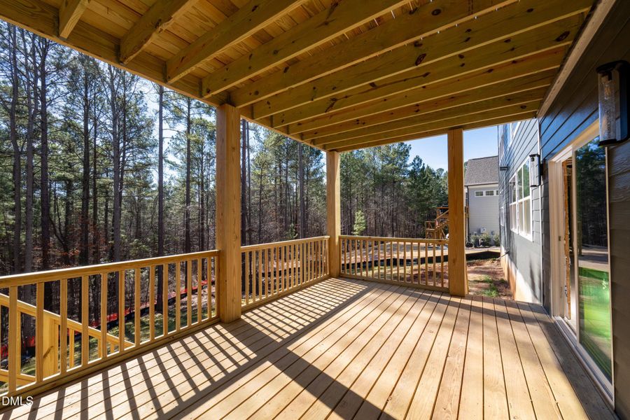 20 canvasback-23 20 canvasback-23