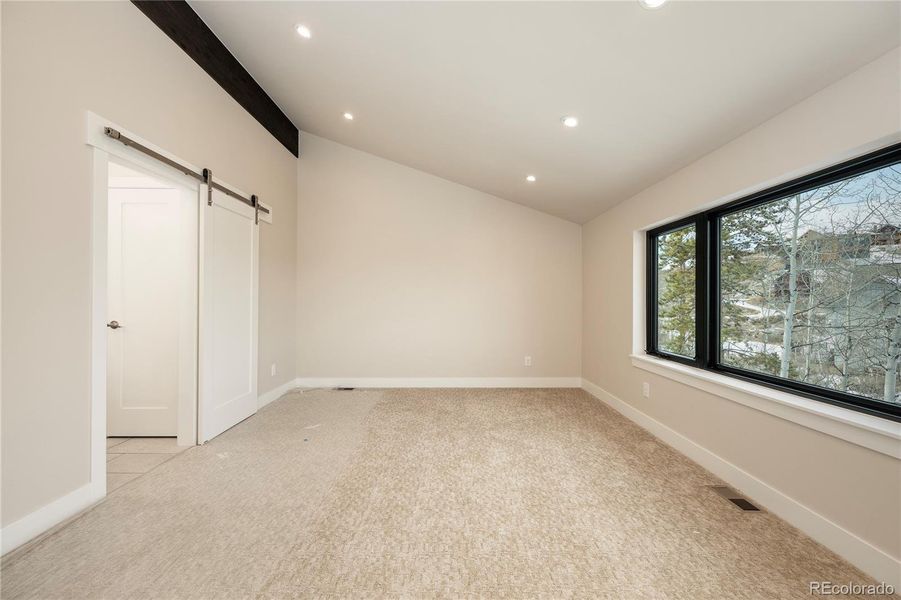 Vaulted Ceiling in Primary Bedroom