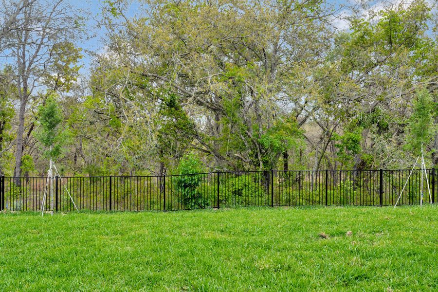 Outdoor and nature views near homes built from the Faulkner by Rockwell Homes in Northlake at Ovation, Winter Garden (Image 118). Outdoor and nature views near homes built from the Faulkner by Rockwell Homes in Northlake at Ovation, Winter Garden (Image 118).