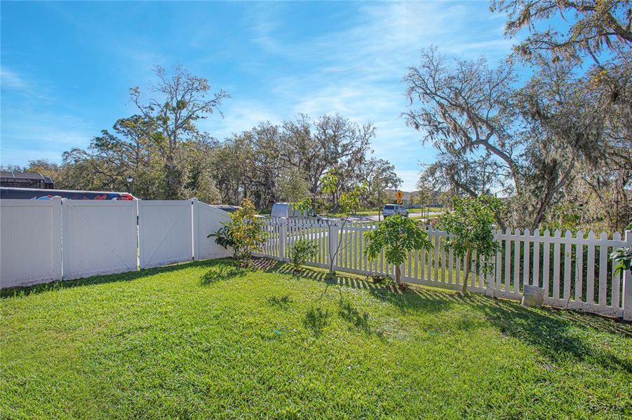 Fenced Patio