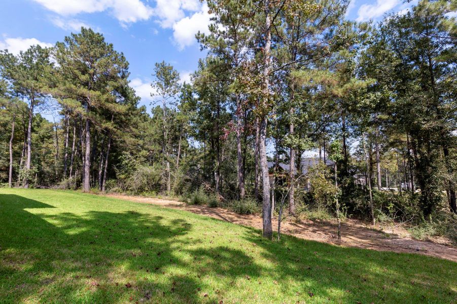 Natural landscape and outdoor views near in Montgomery (Image 37). Natural landscape and outdoor views near in Montgomery (Image 37).