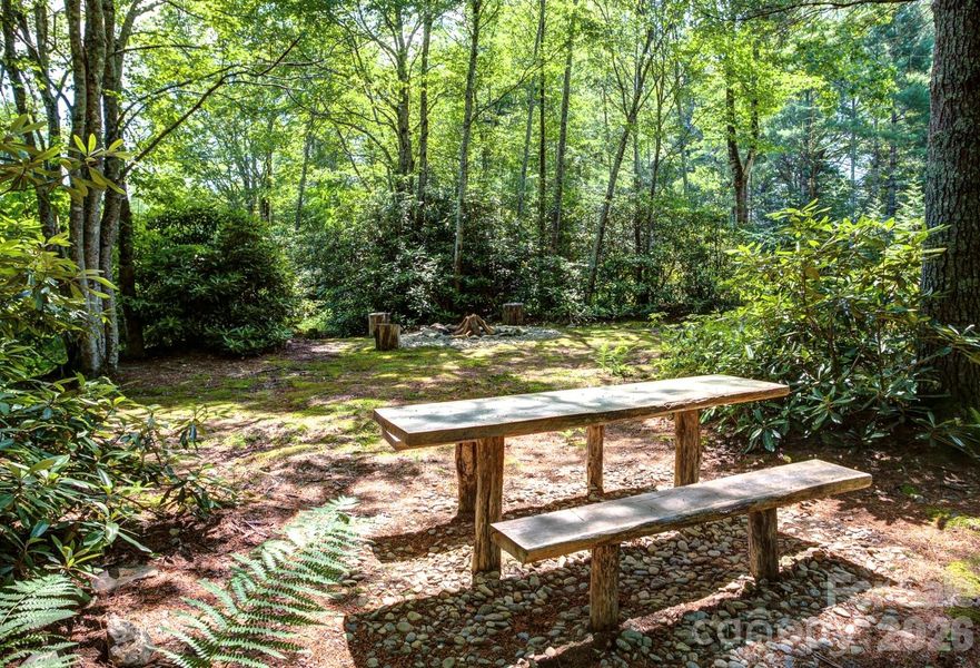 Natural landscape and outdoor views near  in Newland (Image 35).