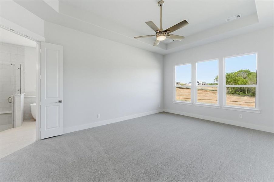 Spare room featuring a tray ceiling, light carpet, and ceiling fan