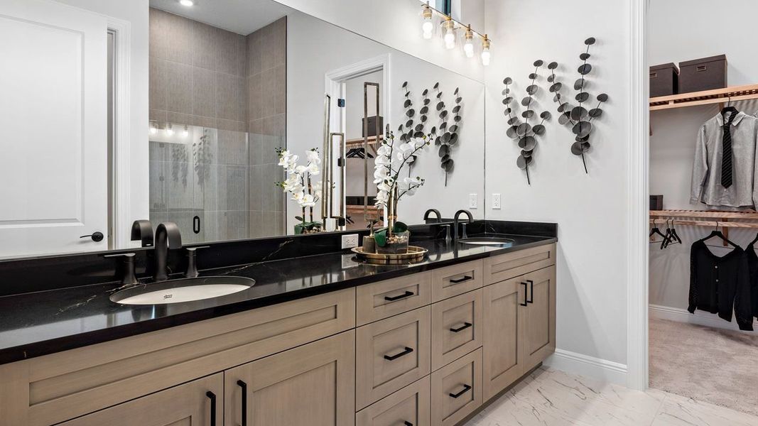 Owner's Bath