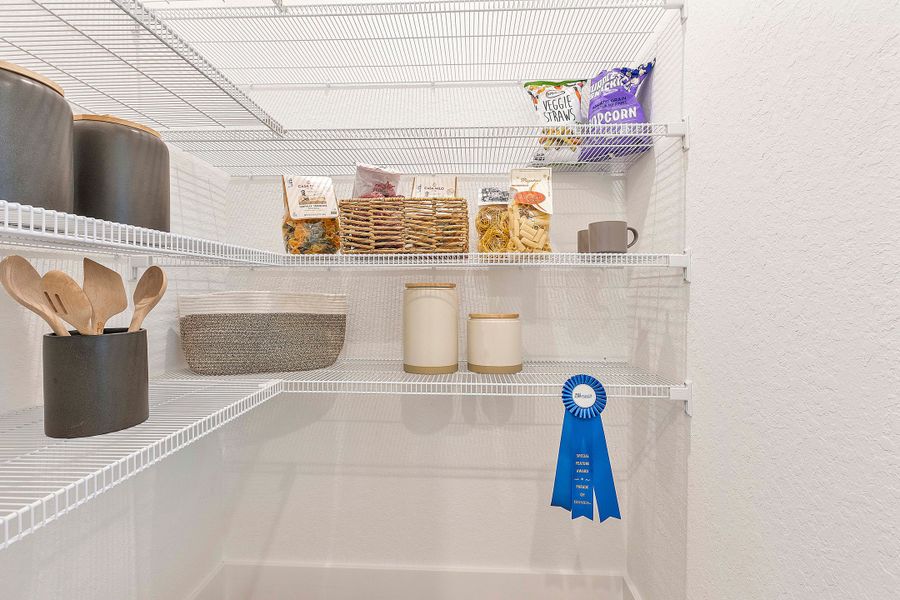 Representative interior finishes for a home built from the Charlotte by William Ryan Homes in The Sanctuary – Royal Collection, Punta Gorda (Image 20). Representative interior finishes for a home built from the Charlotte by William Ryan Homes in The Sanctuary – Royal Collection, Punta Gorda (Image 20).