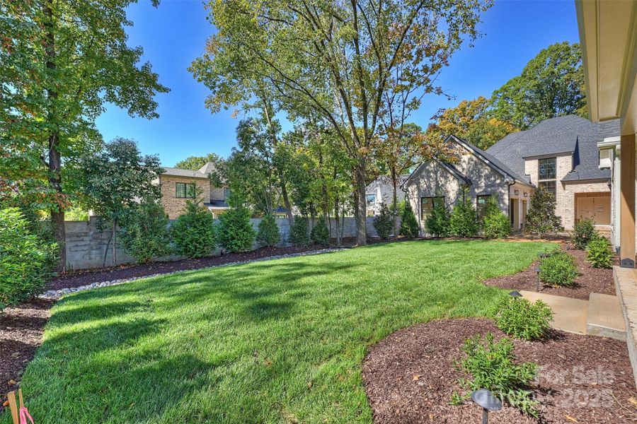 Natural landscape and outdoor views near  in Charlotte (Image 40).