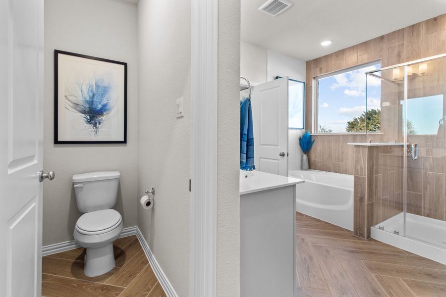 Owner's Bathroom