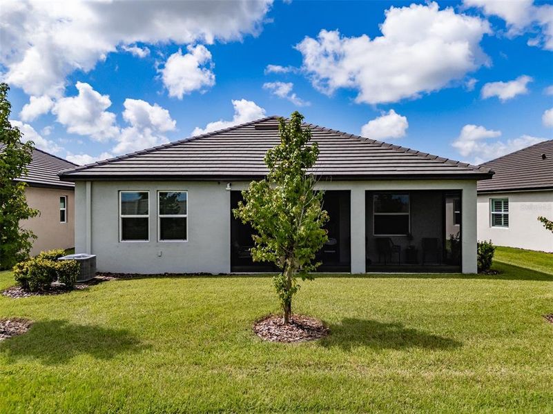 Exterior details and patio area of a home in Prosperity Lakes, Parrish (Image 29).