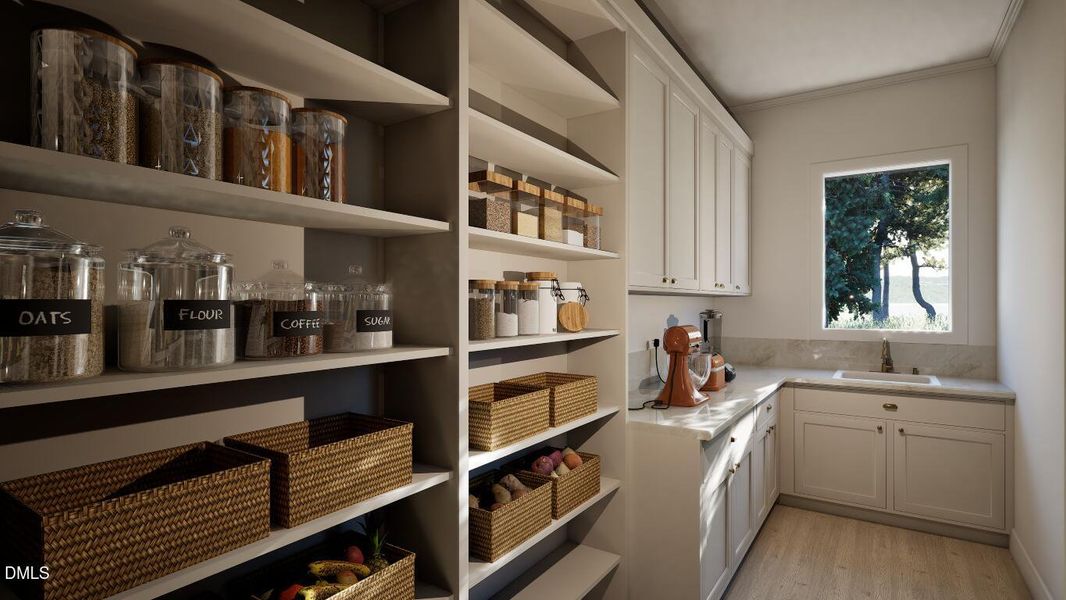 Image17 (Medium) Image17 (Medium)