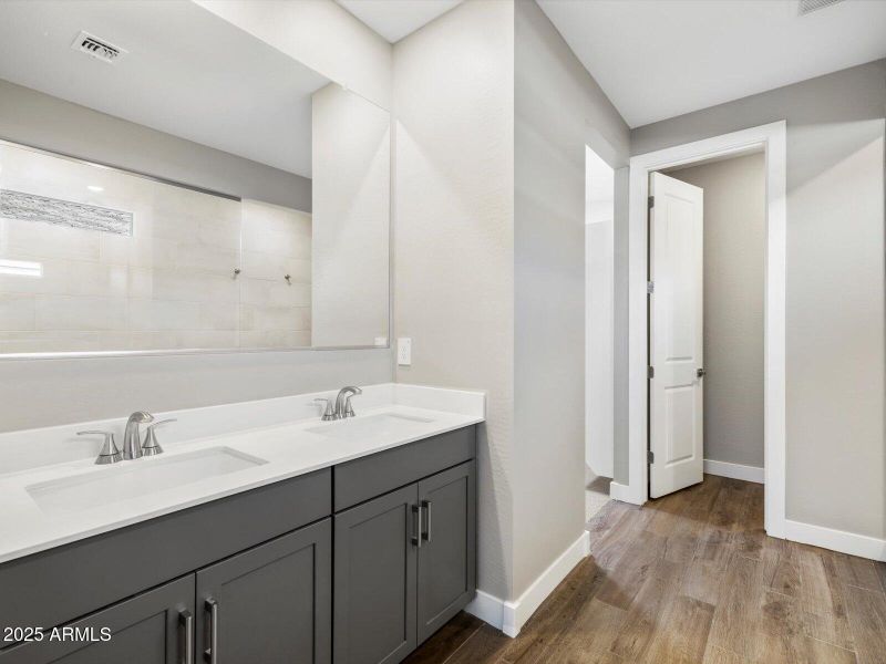 Primary Bathroom View 1