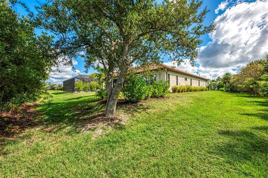Natural landscape and outdoor views near  in Venice (Image 66).