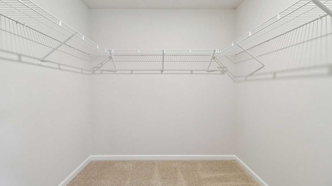 Spacious, unfurnished interior of a new home in Hunter's Branch, Hopkins (Image 25).
