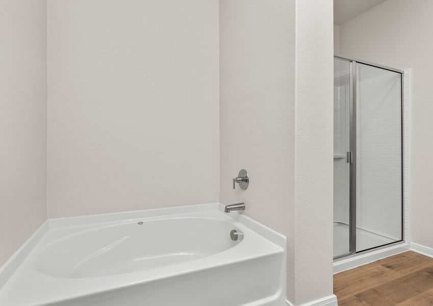 The master bathroom has a large garden tub and a glass, walk-in shower. The master bathroom has a large garden tub and a glass, walk-in shower.