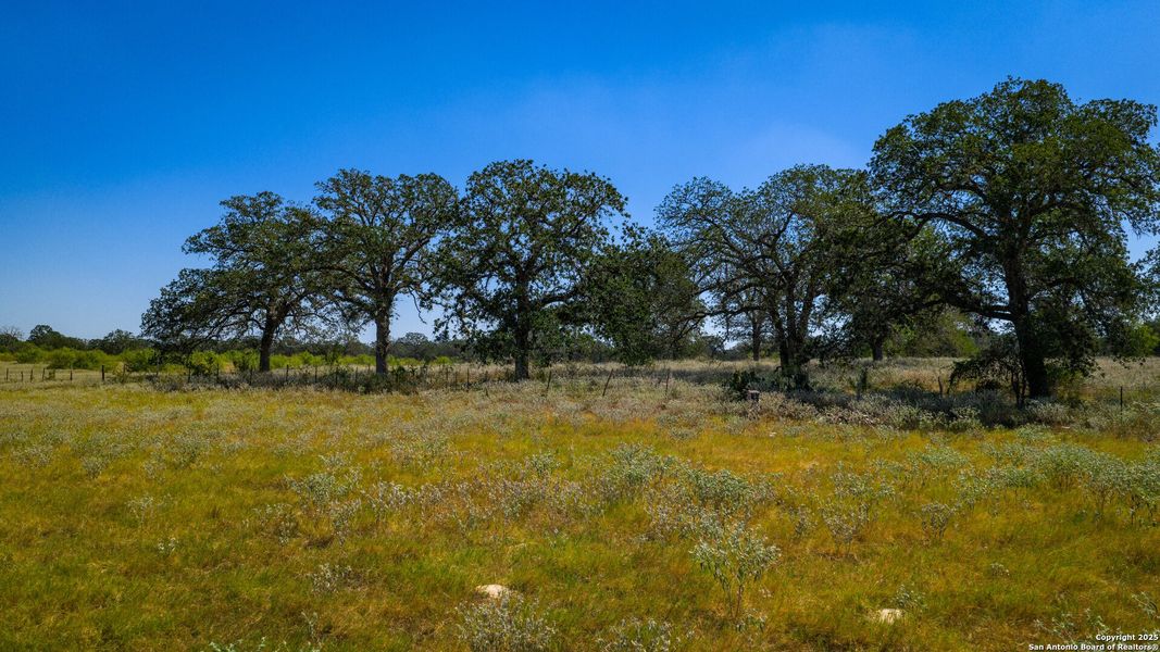 Natural landscape and outdoor views near in Floresville (Image 29). Natural landscape and outdoor views near in Floresville (Image 29).