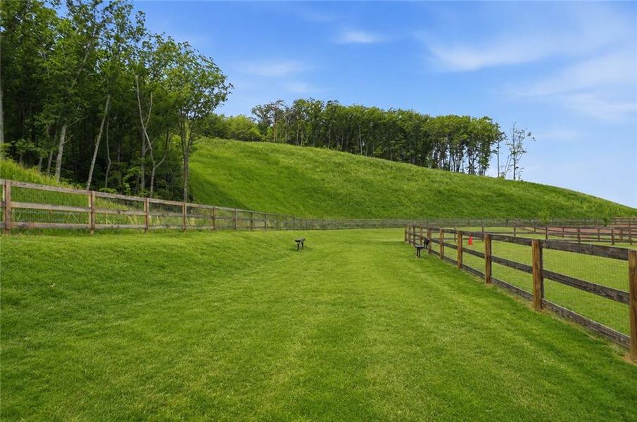 Natural landscape and outdoor views near  in Cartersville (Image 28).