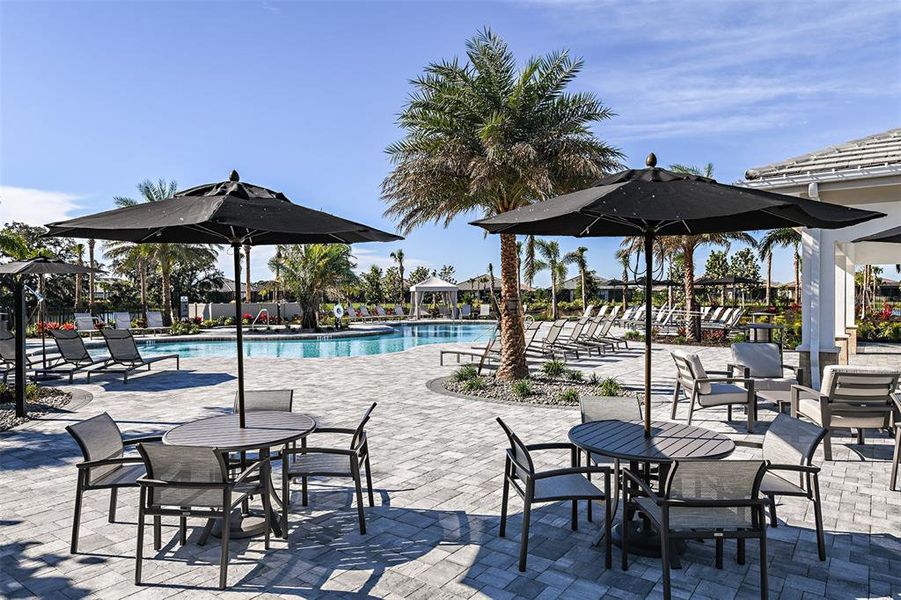 Community amenities in Skye Ranch Community Group Page, Sarasota (Image 28).