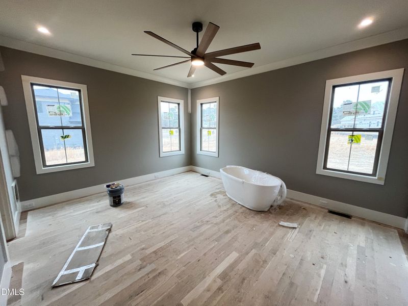 Photo Mar 02 2026, 2 38 18 PM