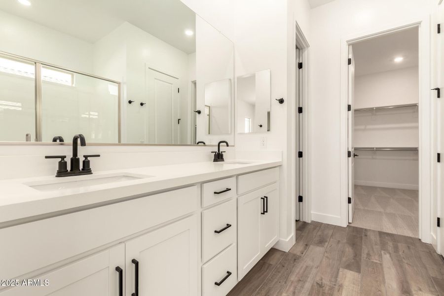 20 - Wollemi 43513 20 - Wollemi 43513