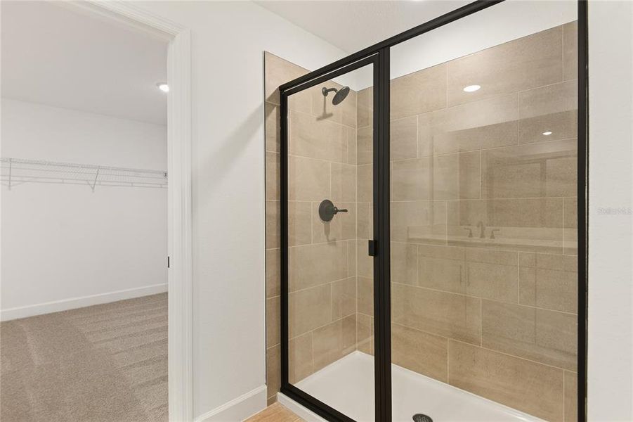 Close-up of interior finishes inside a home in Seasons at Wekiva Ridge, Mount Dora (Image 11).