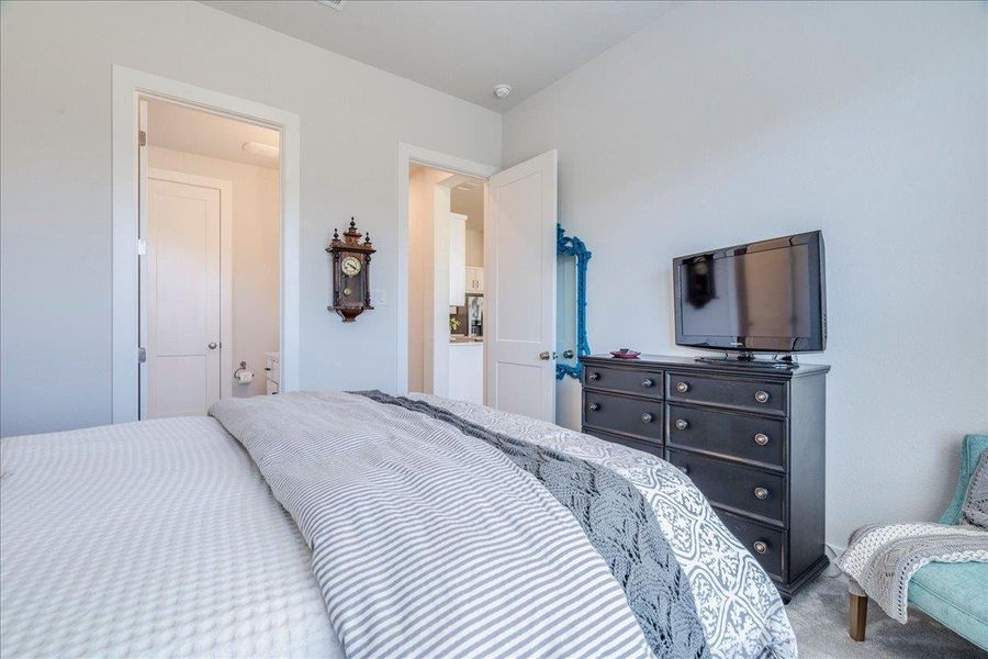 Bedroom featuring carpet floors Bedroom featuring carpet floors