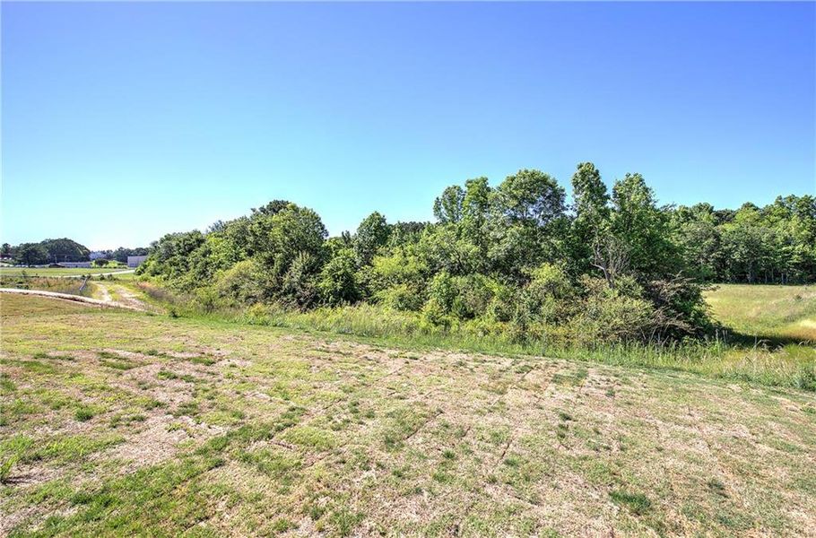Natural landscape and outdoor views near  in Cartersville (Image 35).