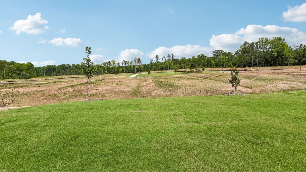 The Stonehaven Plan by DRB Homes in Michaux Gardens - Backyard