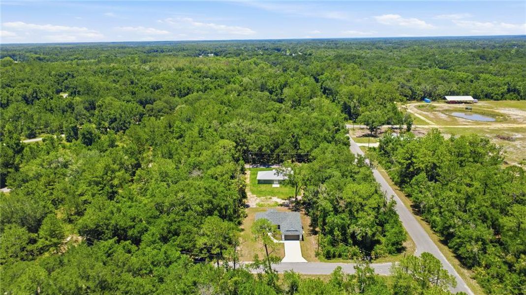 Natural landscape and outdoor views near in Ocklawaha (Image 45). Natural landscape and outdoor views near in Ocklawaha (Image 45).