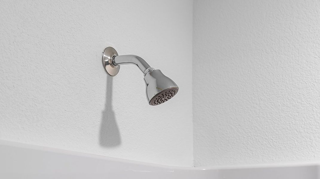 Divisional EI Moen Shower Head